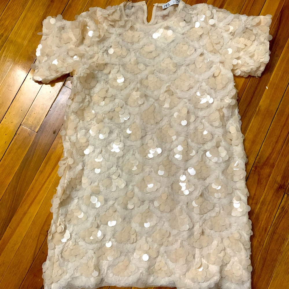 Zara Sequined Shift Dress